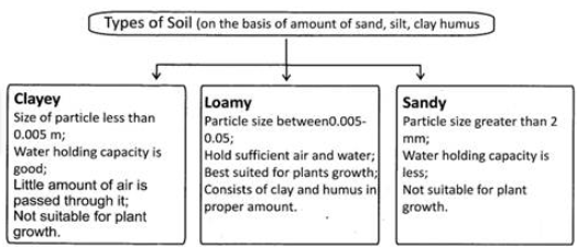 soil-formation-pdf