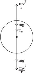 Past Year Questions: Translational And Rotational Motion Notes | EduRev