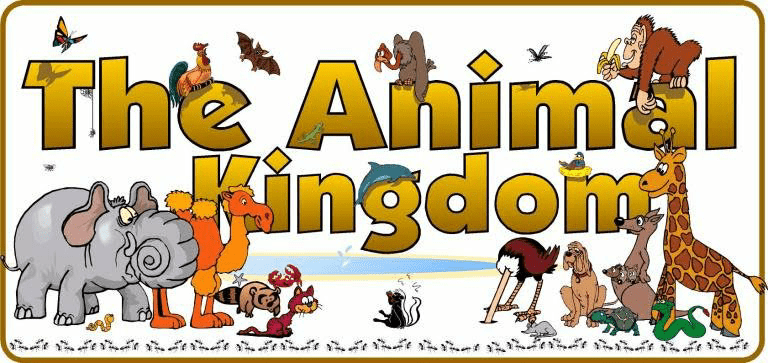 Animal kingdom revision notes NEET Notes | EduRev