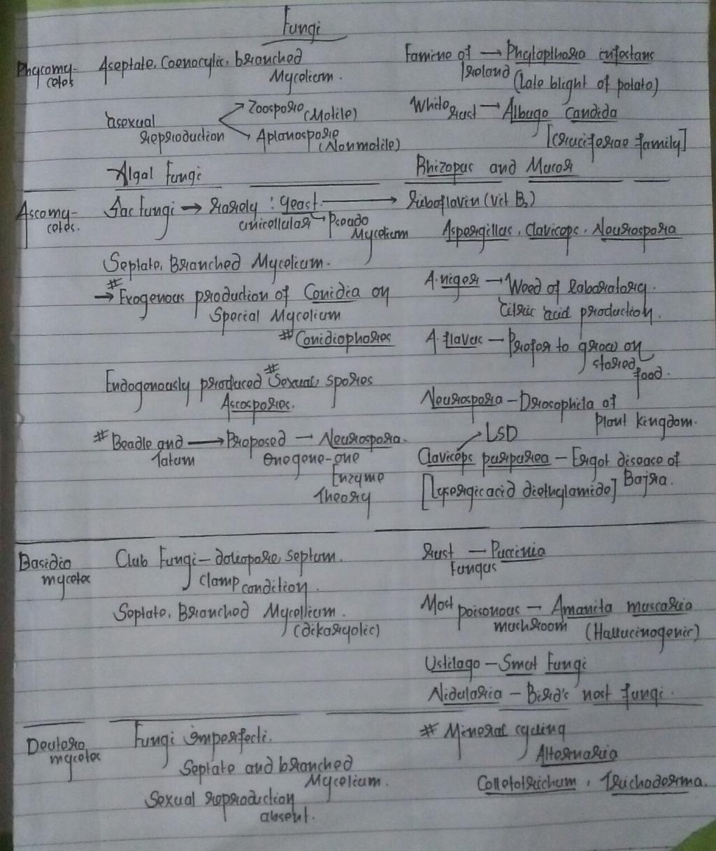 Fungi For Neet Mbbs Notes Edurev