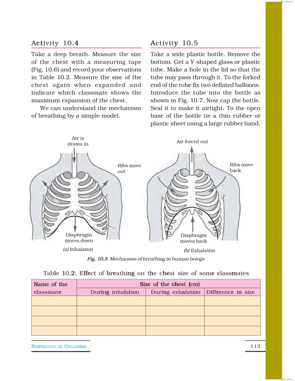 Chapter-10 Respiration in Organisms (e-book). Class 7 Notes | EduRev