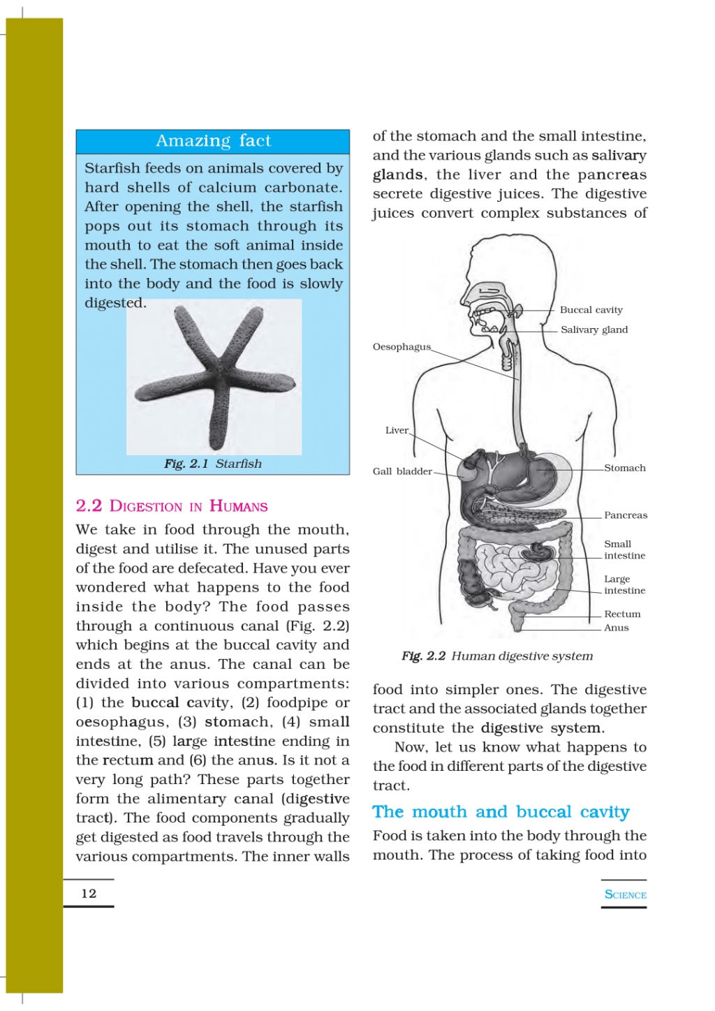 Chapter2 Nutrition in Animals (ebook) Class 7 Notes EduRev