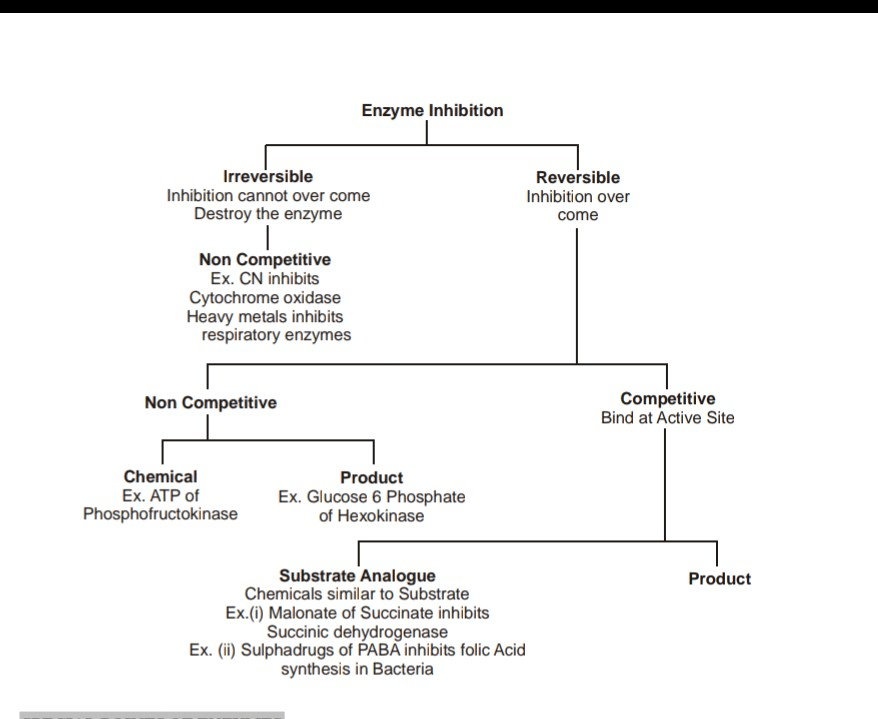 Important Flow Chart Neet Notes Edurev