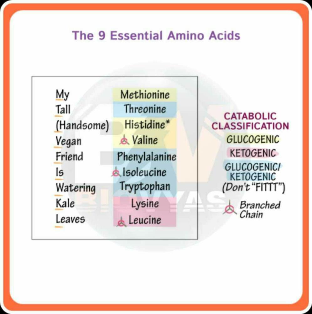 Tricks to learn amino acids? EduRev NEET Question