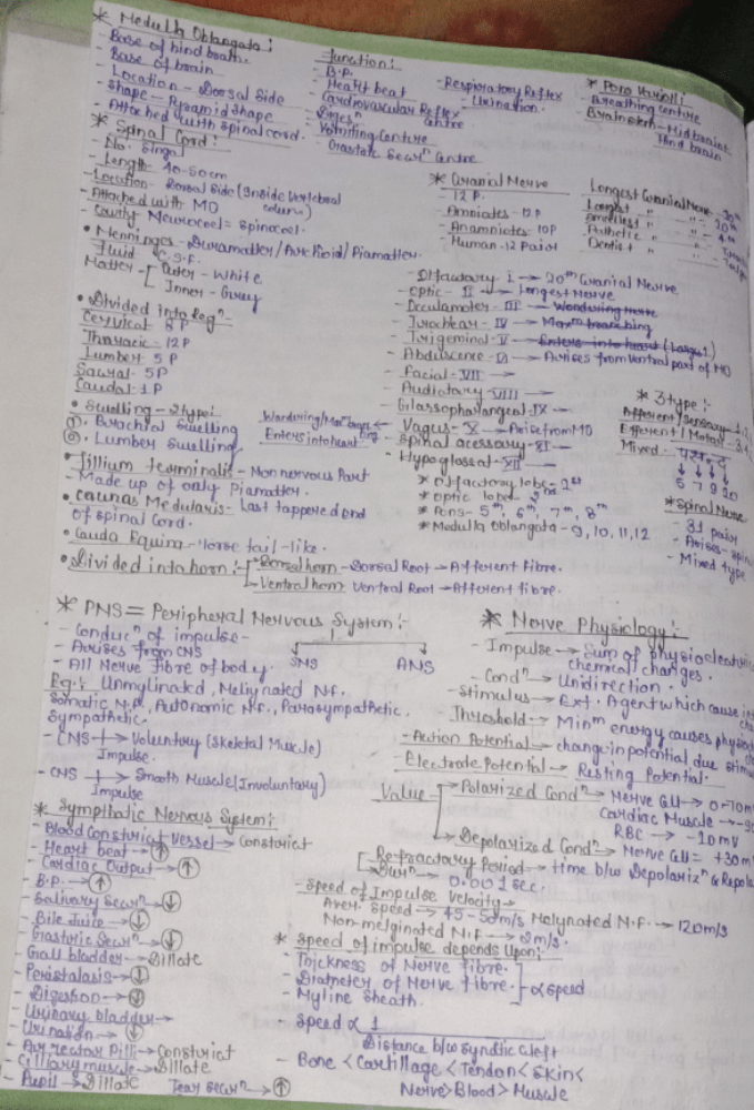 A Brief Note On Risk And Controls