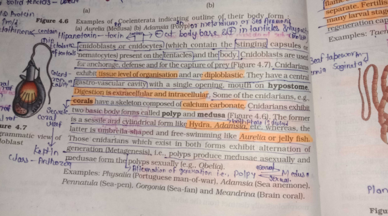 How many of the following are characteristics of at least