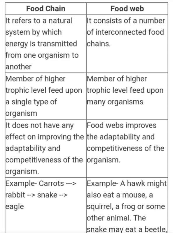 What Is The Difference Between Food Chain And Food Web Give Easy Examples Of Both Edurev Class 10 Question