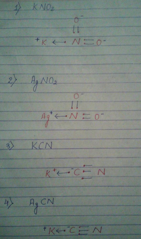 Lewis dot structure of Kno2, AgNo2, Kcn, Agcn? | EduRev Class 11 Question