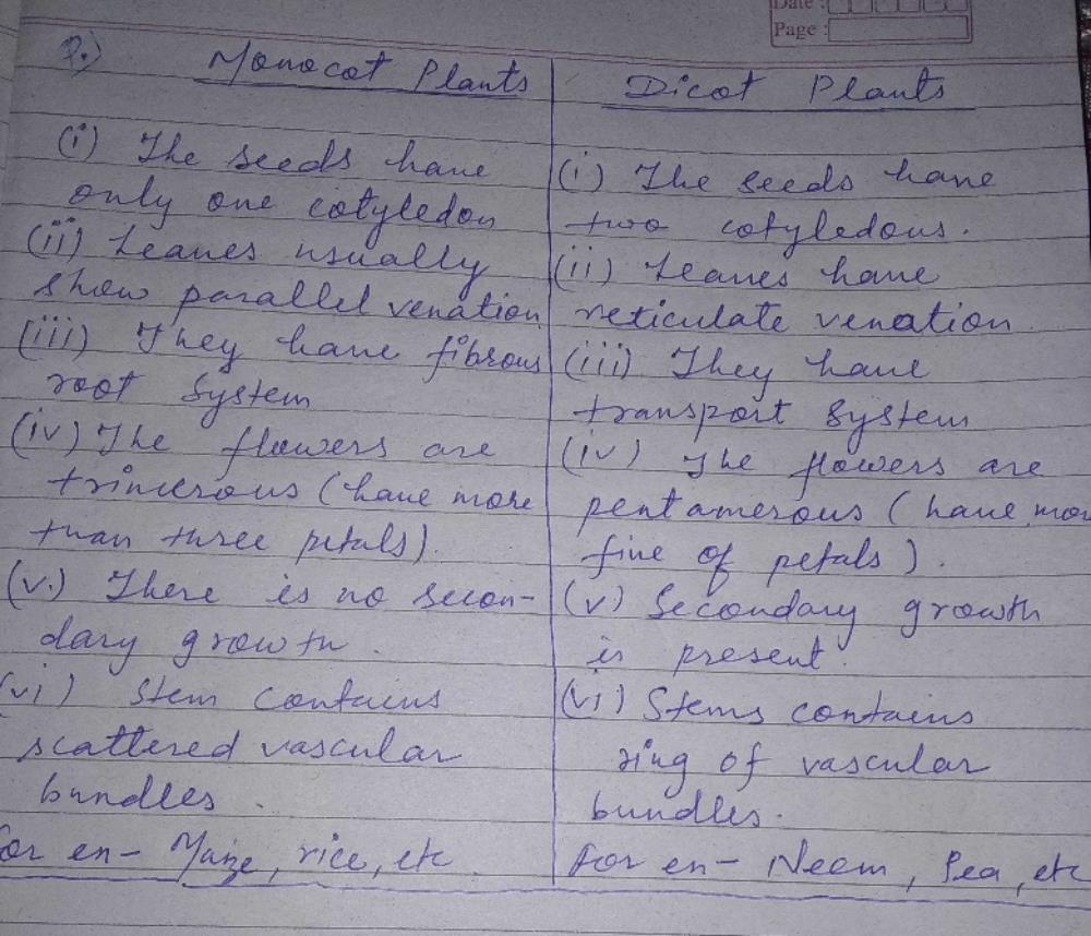 Difference Between Monocot And Dicot Edurev Class 9 Question