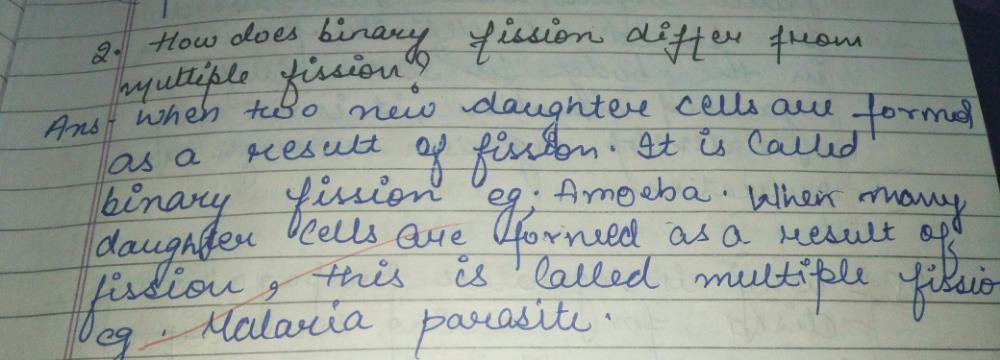 Differentiate between binary fission and multiple fission? | EduRev ...