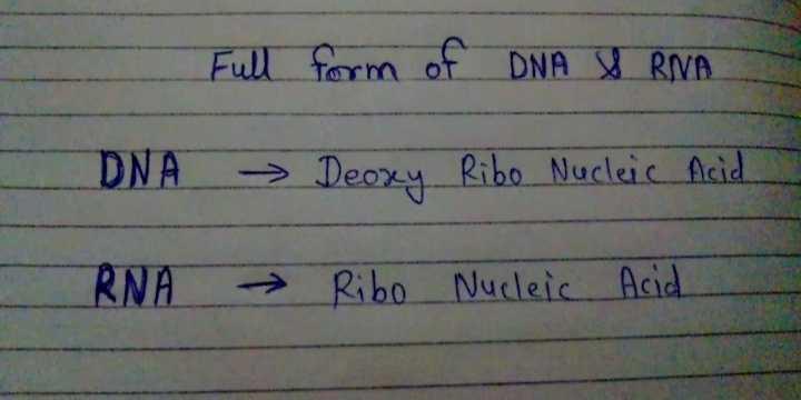 edurev