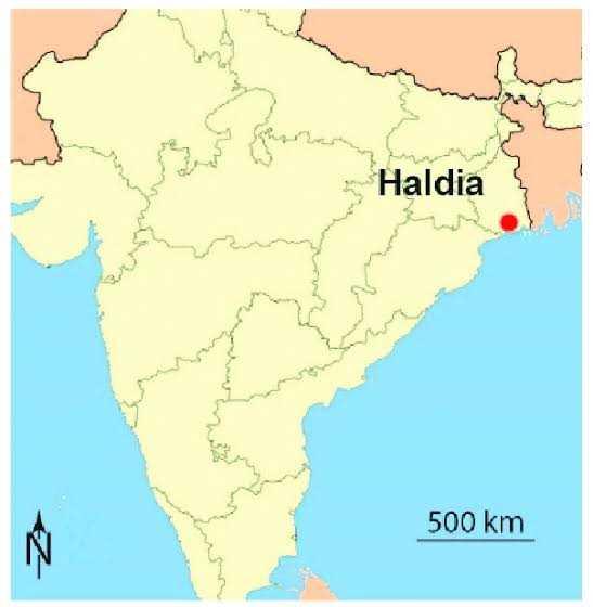 Which one of the following ports was developed to relieve the pressure