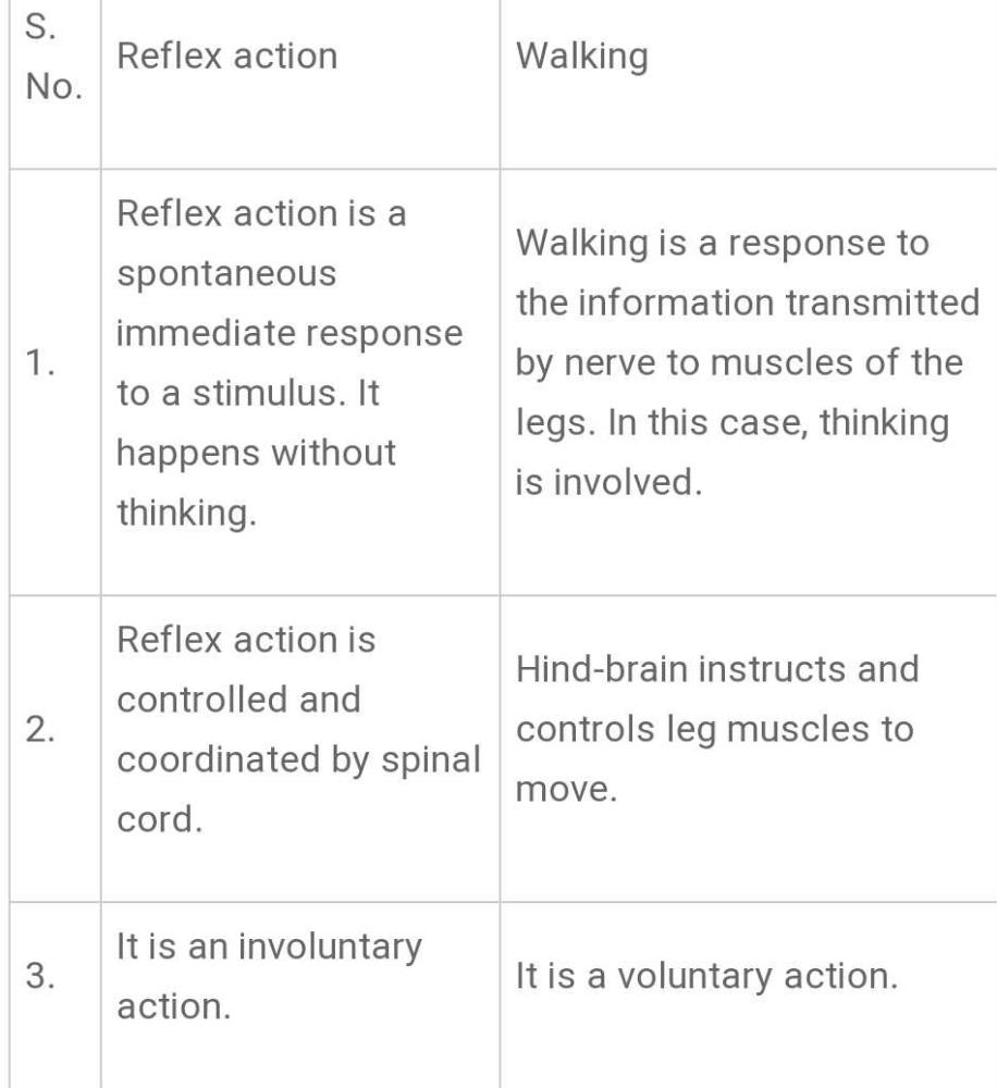 What Is The Difference Between Reflex Action And Walking Edurev Class 10 Question