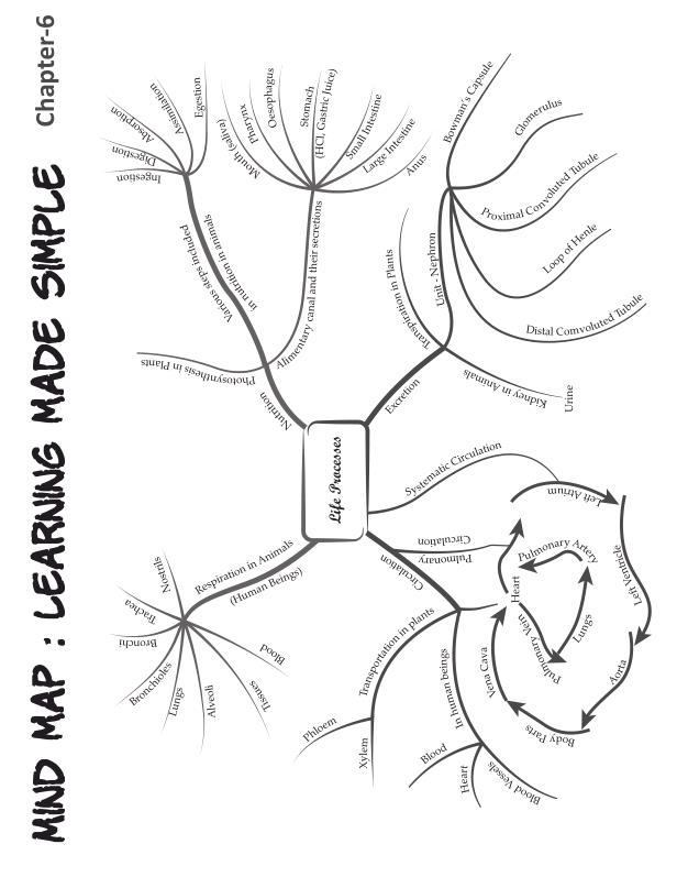 Mind Maps for all chapters of science class 10th:-) Class 10 Notes | EduRev