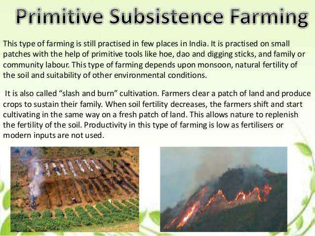 Subsistence Farming Agriculture Britannicacom