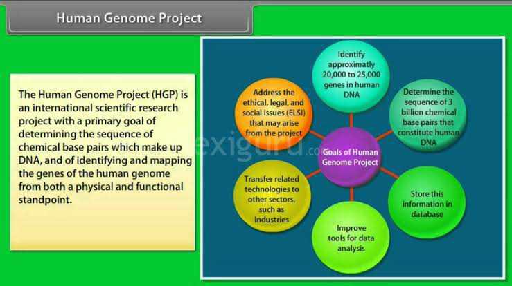 what was the goal of the human genome project