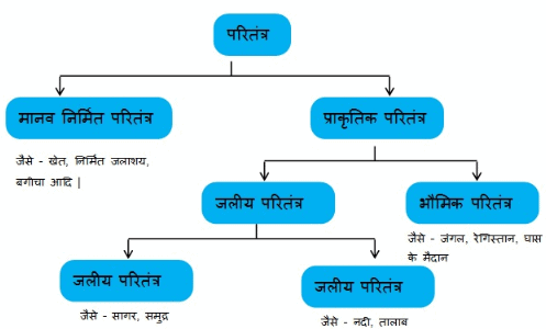 न ट स प ठ 15 हम र पर य वरण कक ष दस व Class 10 Notes Edurev