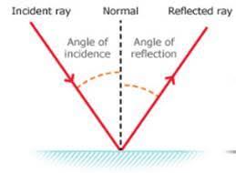 Reflection of light Class 10 Notes | EduRev
