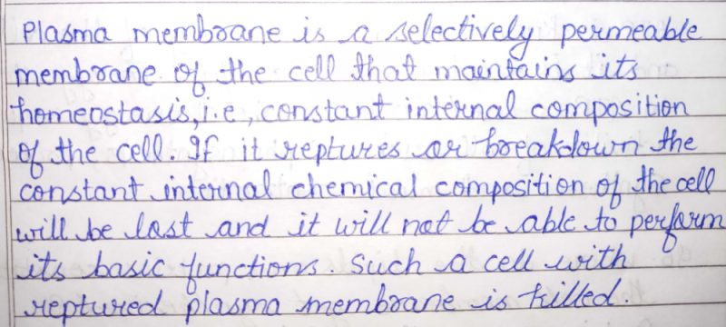 What Would Happen If The Plasma Membrane Ruptures Or Breaks Down Related The Fundamental Unit Of Life Cell Chapter1 Biology Edurev Class 9 Question