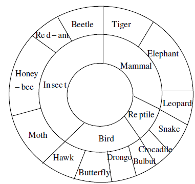 Bird Hierarchy Chart