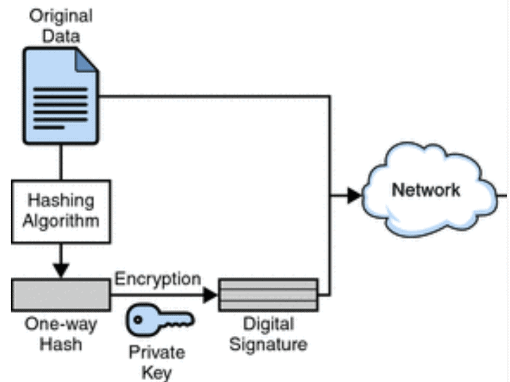 Digital Signatures And Certificates Computer Science Engineering (CSE) Notes | EduRev