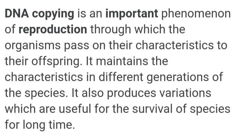 what-is-the-importance-of-dna-copying-in-reproduction-edurev-class