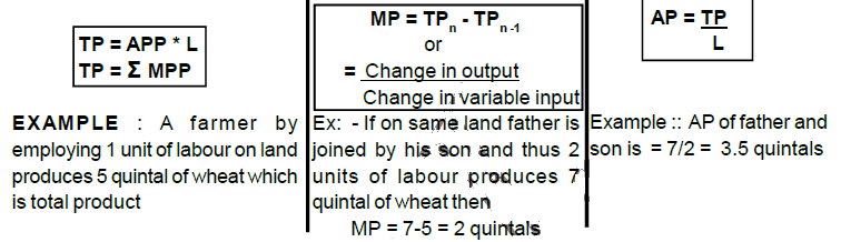 Chapter 5 Production Function Part 1 Chapter Notes Micro 