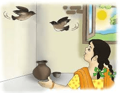 NCERT Solutions - Nina and the Baby Sparrows Notes | Study English for Class 3 - Class 3