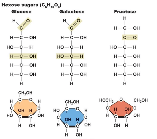 Carbohydrate -Bio-Molecules Chemistry Notes | EduRev