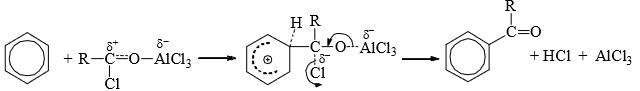 Reaction Mechanism Chemistry Notes | Study Organic Chemistry - IIT JAM