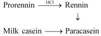 NCERT Solutions - Digestion and Absorption NEET Notes | EduRev
