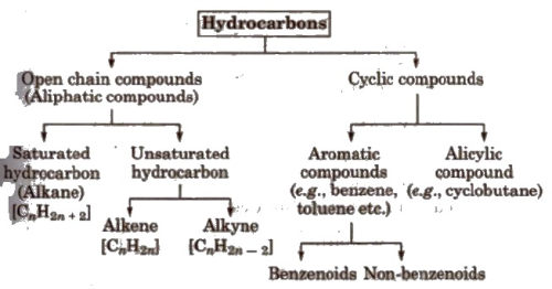 hydrocarbons assignment class 11