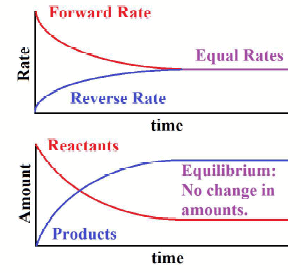 equilibrium chemical reaction chemistry reactions system change class rate concentration reversible chem reactant rates when reactants edurev types equilbrium systems