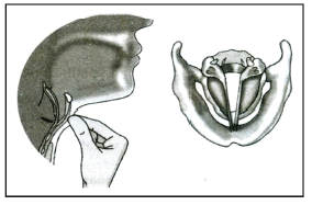 Propagation and Production of Sound Class 9 Notes | EduRev