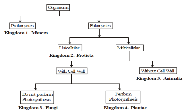 Hierarchy Class 9 Notes Edurev