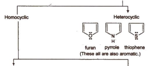 characteristics-and-classification-of-organic-compounds-class-11-notes