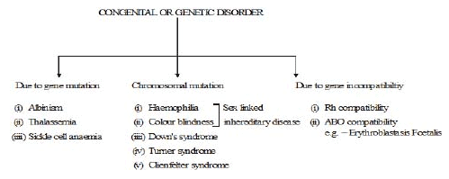 Types of Diseases Class 9 Notes | EduRev