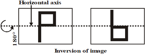 Image Formation by Concave and Convex Mirror Class 10 Notes | EduRev