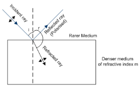 Notes | EduRev