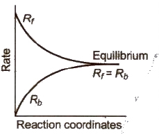 Chemical Equilibrium and Equilibrium Constant Class 11 Notes | EduRev