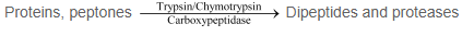 NCERT Solutions - Digestion and Absorption NEET Notes | EduRev