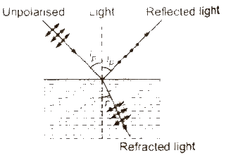 Polarization of Light Notes | Study Physics For JEE - Class 12