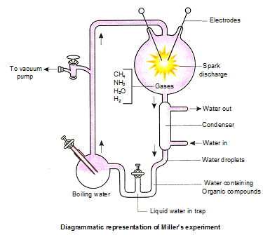 Miller Urey, Louis Pasteur Experiment And Biological Evolution Neet 