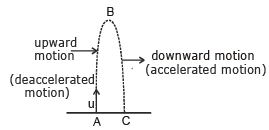 Motion under gravity Class 11 Notes | EduRev