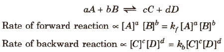 Chemical Equilibrium and Equilibrium Constant Class 11 Notes | EduRev