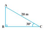 NCERT Solutions - Chapter 9: Some Application of Trigonometry, Class 10, Maths Notes - Class 10