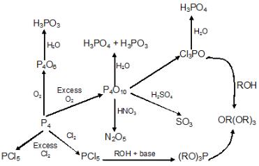 P- Block Elements, JEE Main Notes JEE Notes | EduRev