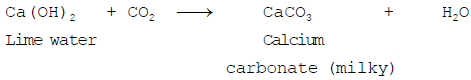 Aerobic and Anaerobic Respiration Class 10 Notes | EduRev