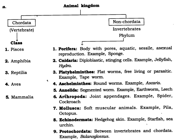 CLASS 9 SCIENCE – DIVERSITY IN LIVING ORGANISMS – Soaring High CLASS 9 SCIENCE – DIVERSITY IN LIVING ORGANISMS – Soaring High