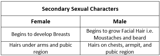 Chapter Notes -2, Reaching Age of Adolescence, Science, Class 8 | EduRev Notes
